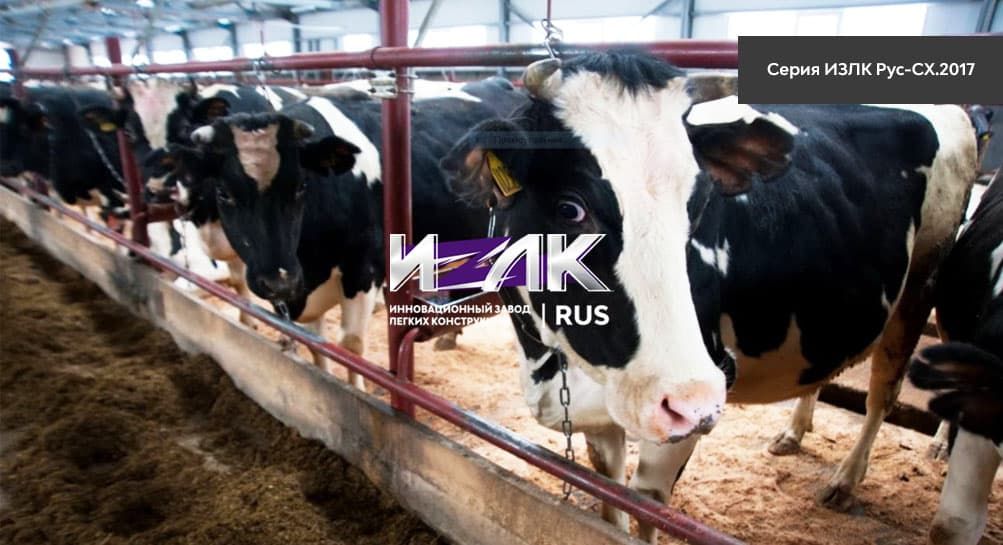 Основные виды коровников, эксплуатируемых животноводами Коммунара и региона